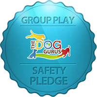 The Dog Gurus Safety Pledge